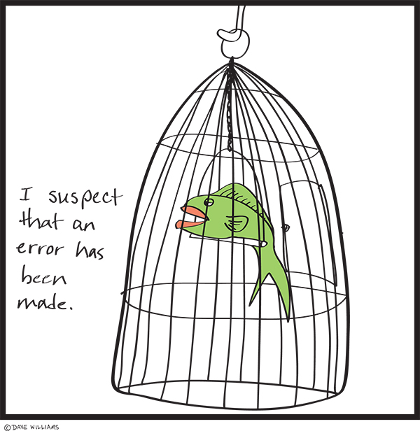 A fish in a birdcage with the message: I suspect that an error has been made